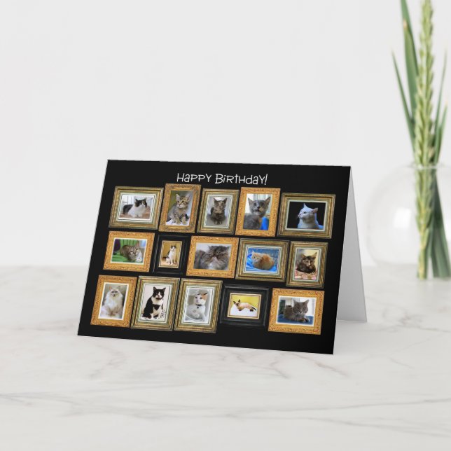 Happy Birthday, Cat Portrait Gallery Card (Front)