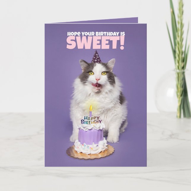 Happy Birthday Cat With Cake Licking Face Humour Holiday Card (Front)