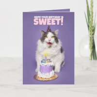 Happy Birthday Cat With Cake Licking Face Humour