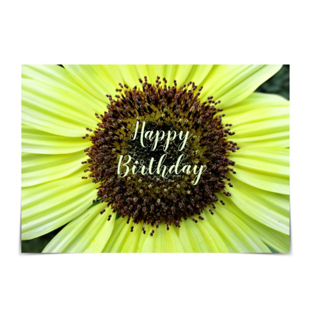 "Happy Birthday" Cheerful Sunflower Card (Creator Uploaded)