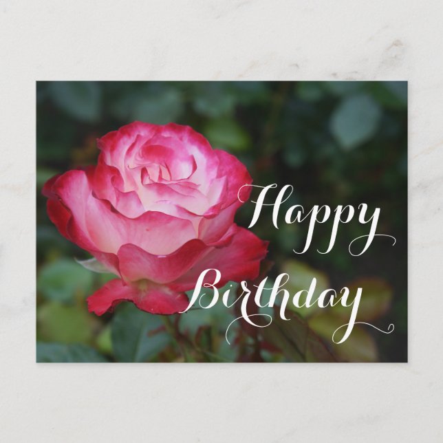 Happy Birthday Cherry Parfait Rose #3 Postcard (Front)