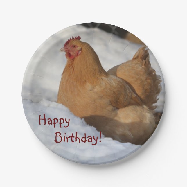 Happy Birthday Chicken In Snow Paper Plate (Front)