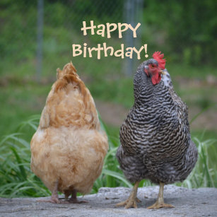 Happy Birthday Chickens Crafts Party Supplies Zazzle Co Nz