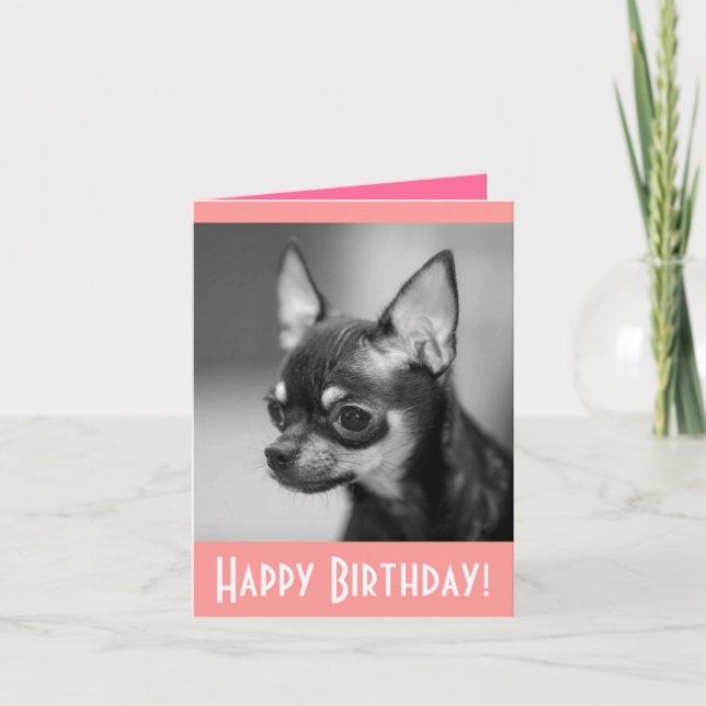 Happy Birthday Chihuahua Puppy Dog Greeting Card (Front)