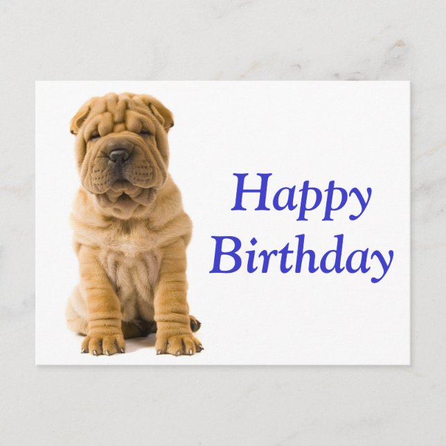 Happy Birthday Chinese Shar Pei Puppy Dog  Card (Front)