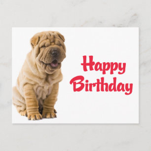 Happy Birthday Chinese Shar Pei Puppy Dog Card