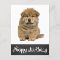 Happy Birthday Chow Chow Puppy Chalkboard Postcard