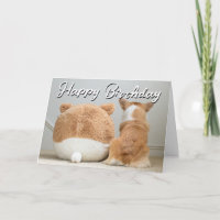 Happy Birthday | Corgi & Plush Puppy