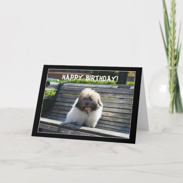 Happy Birthday Coton de Tulear Puppy greeting card (Front)