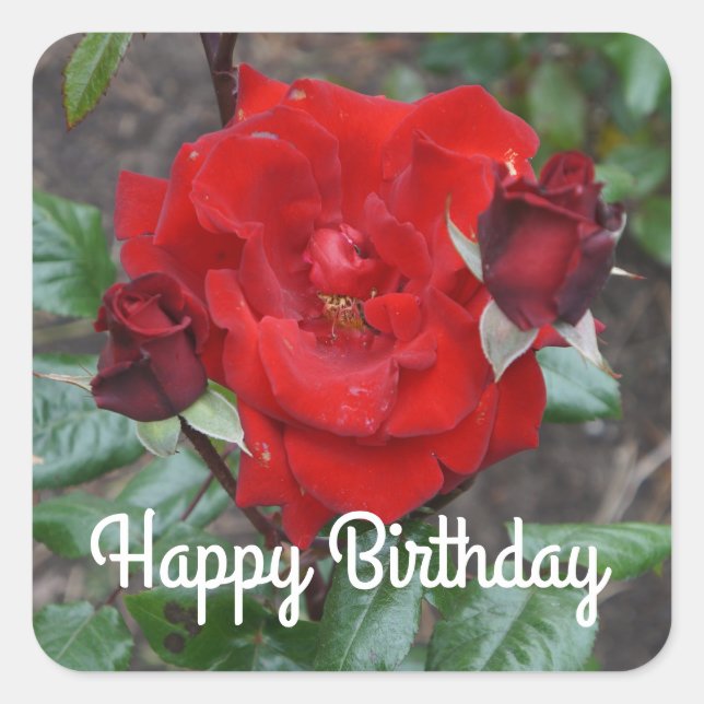 Happy Birthday Crimson Bouquet Rose #1 Stickers (Front)