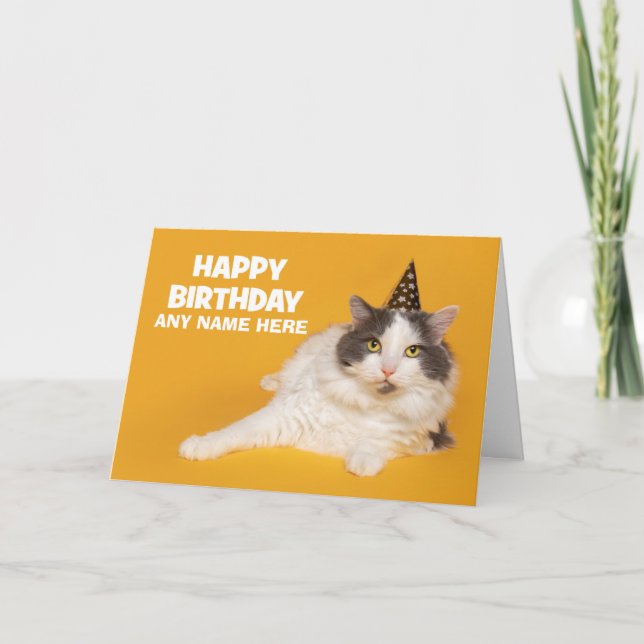 Happy Birthday Custom Name Cute Cat in Party Hat  Holiday Card (Front)