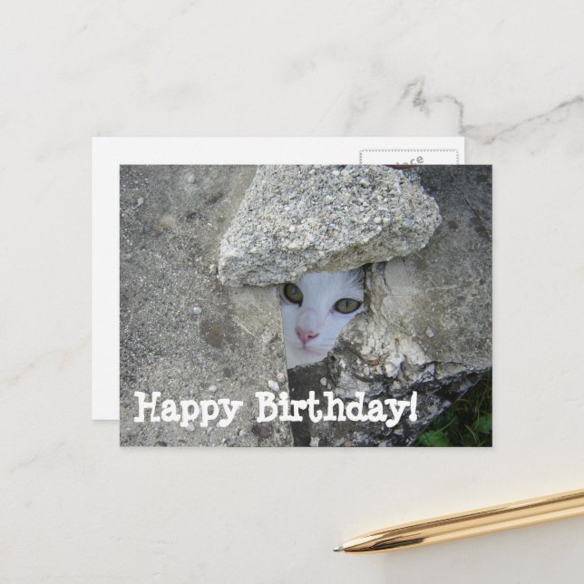 Happy Birthday Cute cat hiding Postcard (Front/Back In Situ)