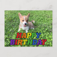 Happy Birthday Cute Corgi Puppy Photo
