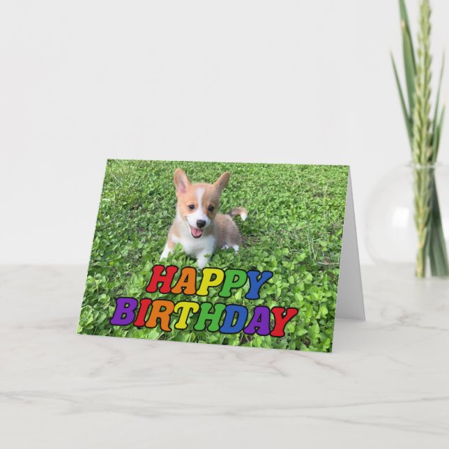 Happy Birthday Cute Corgi Puppy Photo Rainbow Card (Front)