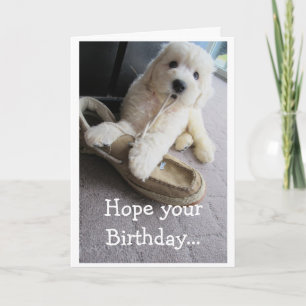 Happy Birthday, Cute Goldendoodle pup Humour Card