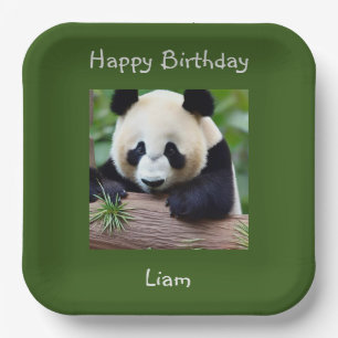 Happy Birthday Cute Panda Paper Plate