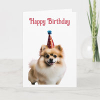 Happy Birthday Cute Pomeranian