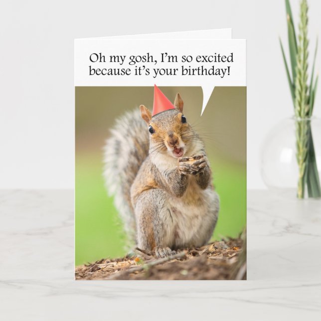 Happy Birthday Cute Squirrel in Party Hat Holiday Card (Front)