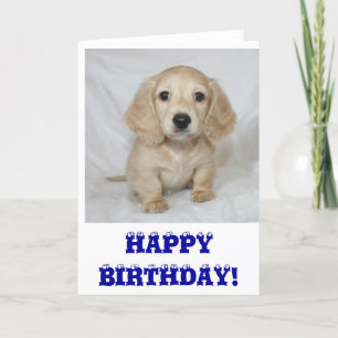 Happy birthday dachshund card