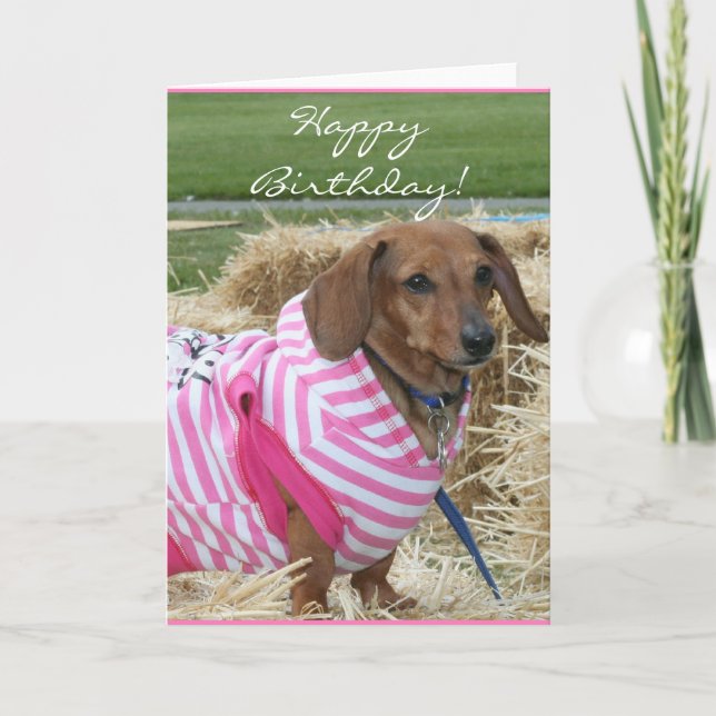 Happy Birthday Dachshund Greeting Card (Front)