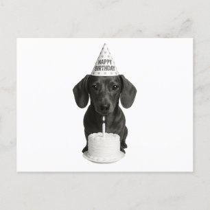 Happy Birthday Dachshund Holiday Postcard