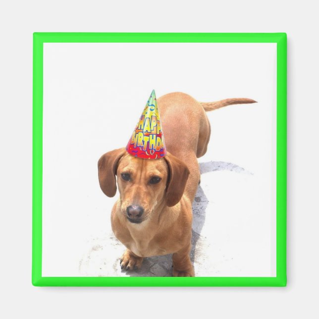 Happy Birthday Dachshund Magnet (Front)