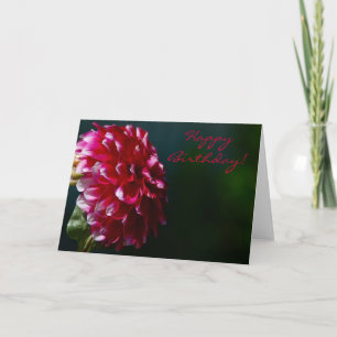 Happy Birthday Dahlia Card