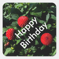 Happy Birthday Dahlia Irish Glow #1 Stickers
