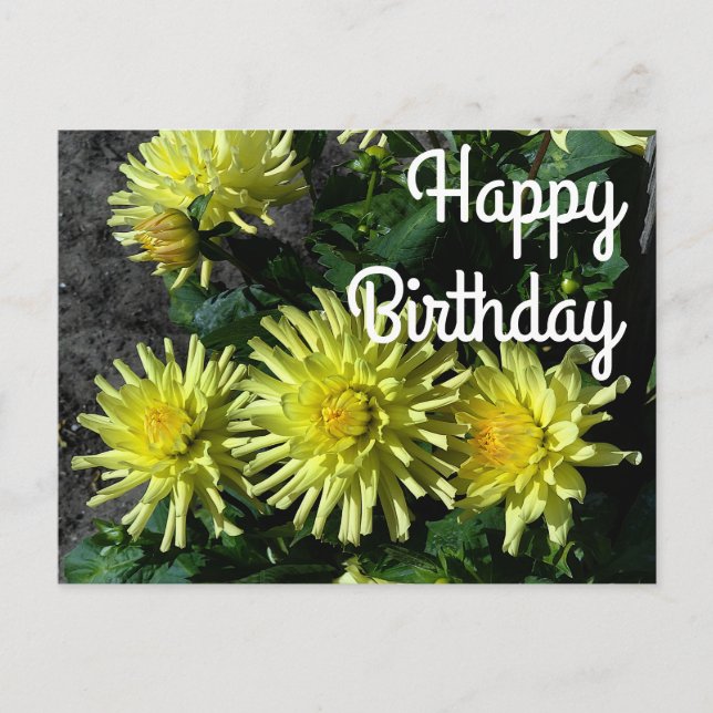 Happy Birthday Dahlia Lakeview Glow #1 Postcard (Front)