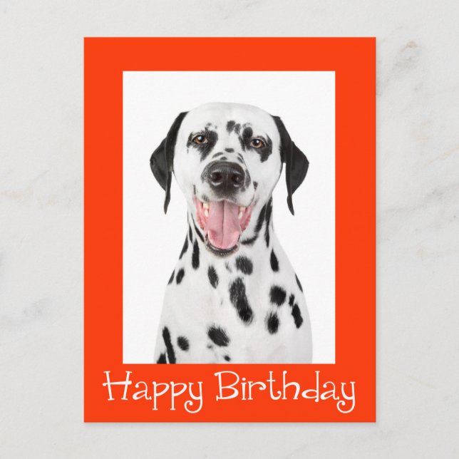 Happy Birthday Dalmatian Puppy Dog Post Card (Front)
