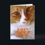 Happy Birthday Daughter Sweet Cat Card<br><div class="desc">Wish your daughter a "Happy Birthday",  with this cute card from my "Kitty Koolness" Collection,  featuring an adorable orange and white kitty. The inside can be kept as is,  or personalised by you for that added touch. Photo by designer.</div>