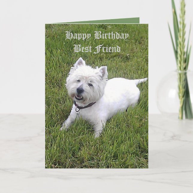 Happy Birthday Dear Friend Card (Front)