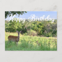 Happy Birthday Deer Photography Beautiful Nature