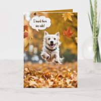Happy Birthday Dog In Fall Leaves