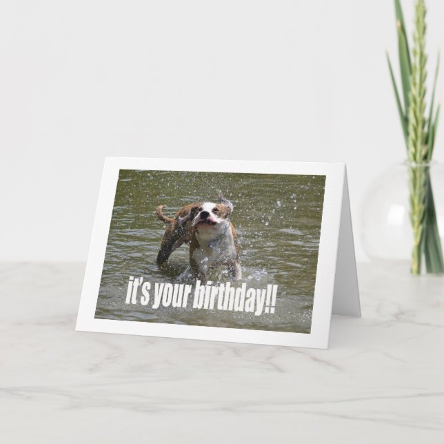 HAPPY BIRTHDAY DOG LOVER CARD (Front)