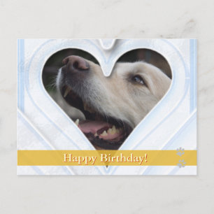 Happy Birthday! - dog postcard