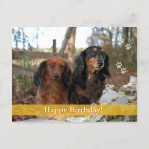 Happy Birthday! - dog postcard