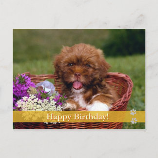 Happy Birthday! - dog postcard