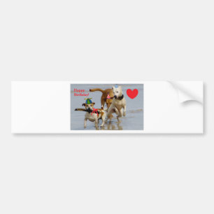 happy birthday dogs bumper sticker