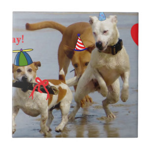happy birthday dogs tile