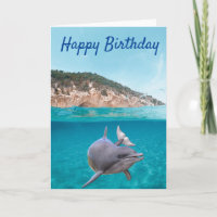 Happy Birthday Dolphin Lover