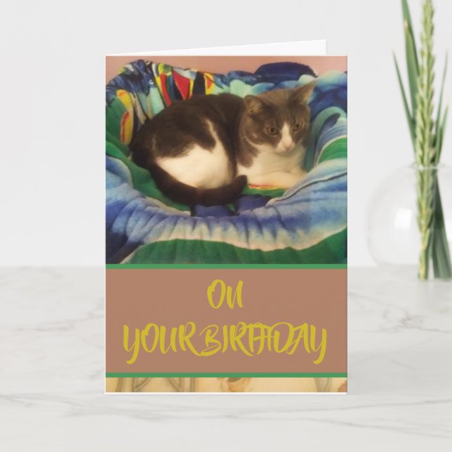 Happy Birthday Domestic Grey and White Kitty Cat Card (Front)