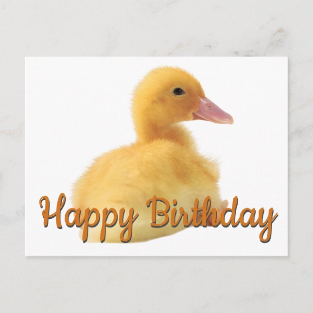 Happy Birthday Duckling Postcard (Front)