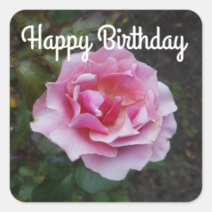 Happy Birthday Duet Rose #2 Stickers