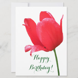 Happy birthday elegant red tulip floral holiday card