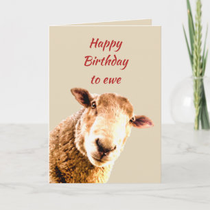 Happy Birthday Ewe Funny Sheep Animal Humour Card