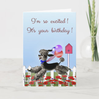 Happy Birthday, Excited Black Poodle in a Garden Card
