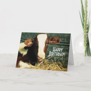 Happy Birthday Farmer - Brown and White Calf Card