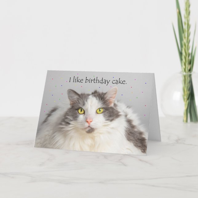 Happy Birthday Fat Cat Likes Birthday Cake Holiday Card (Front)