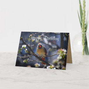Happy Birthday Female Cardinal in Flowering Tree Card